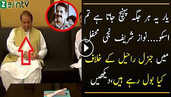 What PM Nawaz Sharif Said About COAS In A Private Meeting