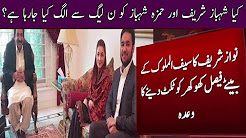 Why Maryam Nawaz Distributing Party Tickets Instead Of Hamza Shehbaz?