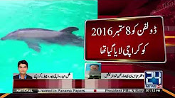 Wildlife department issue notice to Dolphin show international over Dolphin missing issue