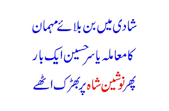 Yasir Hussain Ek Baar Phir Nausheen Shah Par Bhadak Uthe... Read In Urdu