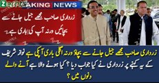 Zardari Sahab Help Me Out In This Situation
