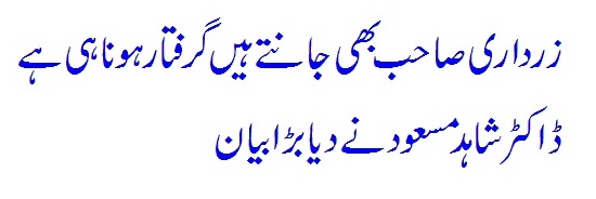 Zardari Sahab Ki Giraftari To Sar Par Khari Hai - Dr Shahid Masood